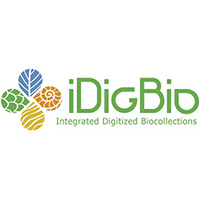 IDigBio logo